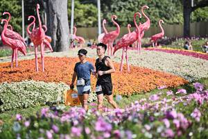 BIB: 
                            <button type="button" onclick="openModal(27794273)" class="btn btn-primary btn-sm float-right btn-popup" data-toggle="modal" data-target=".modal-high-quality">
                        <i class="fas fa-shopping-cart"></i> Add to Cart
                    </button>
                                            <button type="button" onclick="isThisMe(27794273, true)" class="btn btn-success btn-sm float-right btn-popup btn-isme hidden" data-toggle="tooltip" data-placement="bottom" title="นี่คือรูปของคุณใช่ไหม คลิกที่นี่เพื่อเอาเข้าอัลบั้ม">
                        <i class="fas fa-plus"></i> Add to album
                    </button>
                    <button type="button" onclick="isThisMe(27794273, false)" class="btn btn-warning btn-sm float-right btn-popup btn-isnotme hidden">
                        <i class="fas fa-ban"></i> Remove from album
                    </button>